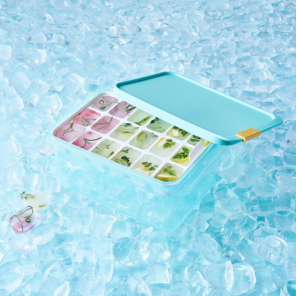 Hộp Trữ Đông Freezer Fit LocknLock 1.65L - Kèm Khuôn Chia Nhỏ Thực Phẩm 18 Ngăn - HFL104D18
